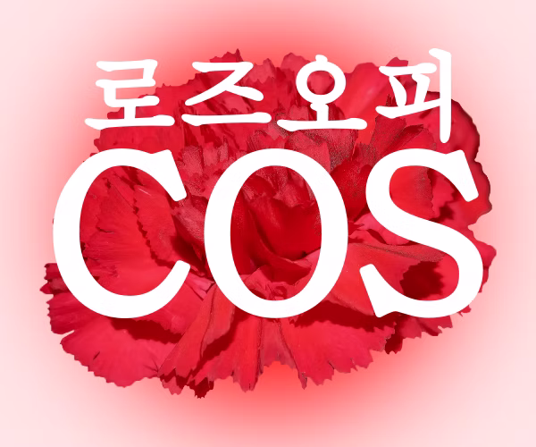 로즈오피-오피사이트-OP사이트-24시 OP- 대문사진